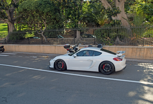 Porsche 981 Cayman GT4