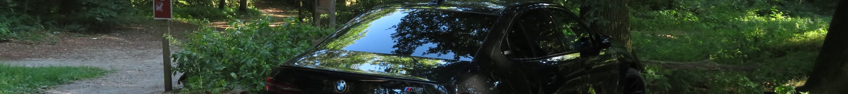 BMW M5 G90