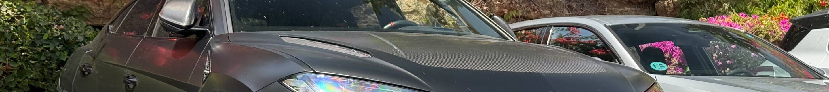Lamborghini Urus Performante