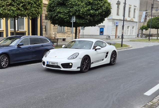 Porsche 981 Cayman S
