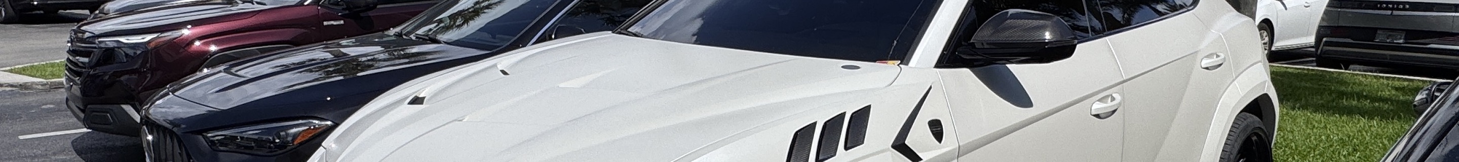 Lamborghini Urus Mansory Venatus