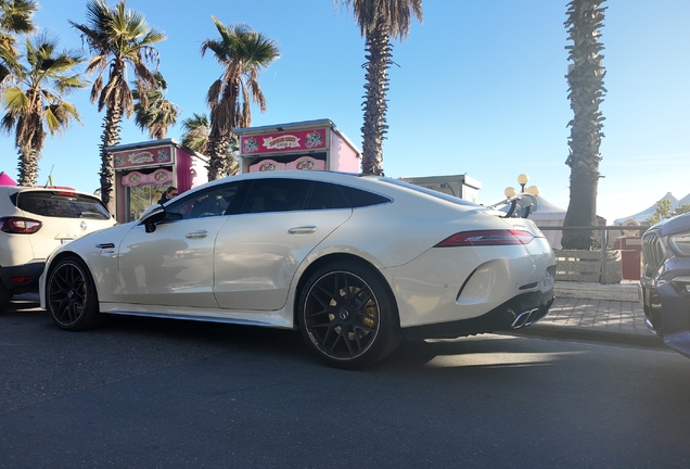 Mercedes-AMG GT 63 X290 2024