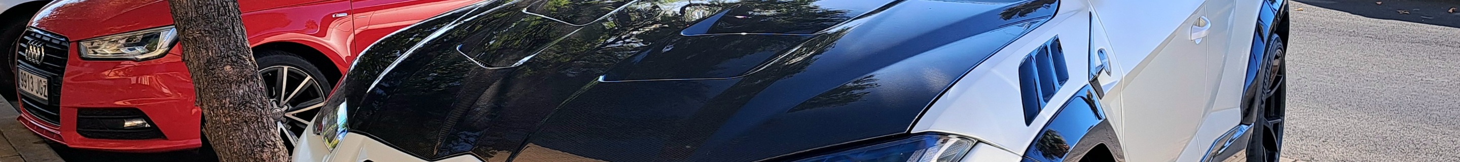 Lamborghini Urus Mansory Venatus