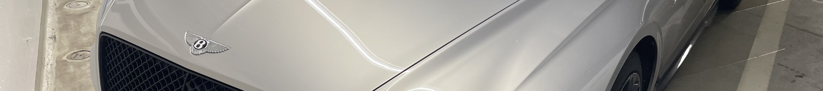 Bentley Continental GT Speed 2021