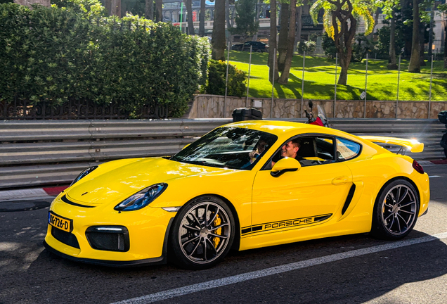 Porsche 981 Cayman GT4