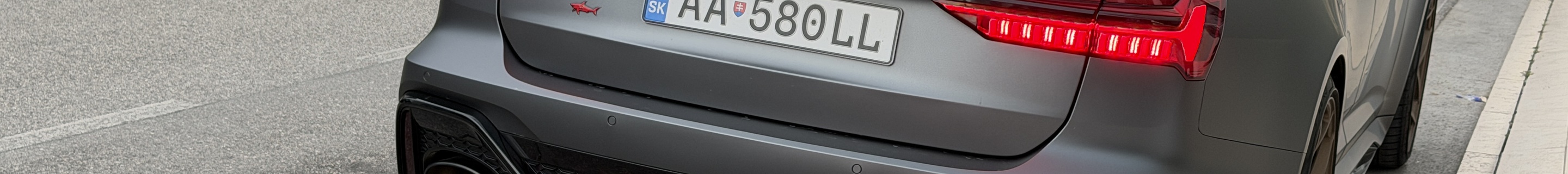 Audi RS6 Avant C8