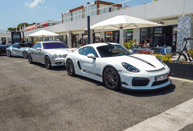 Porsche 981 Cayman GT4