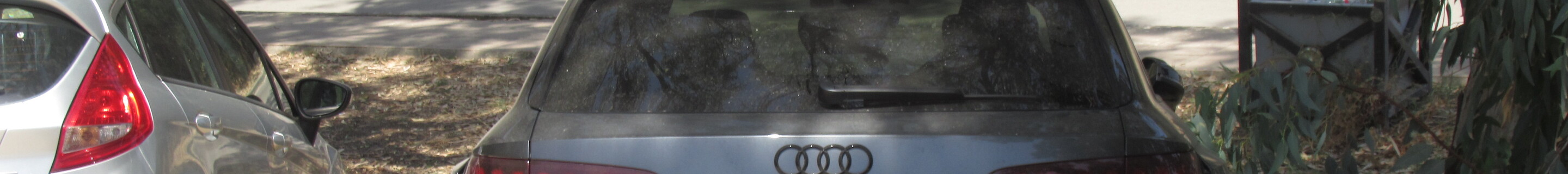 Audi RS4 Avant B9 2020