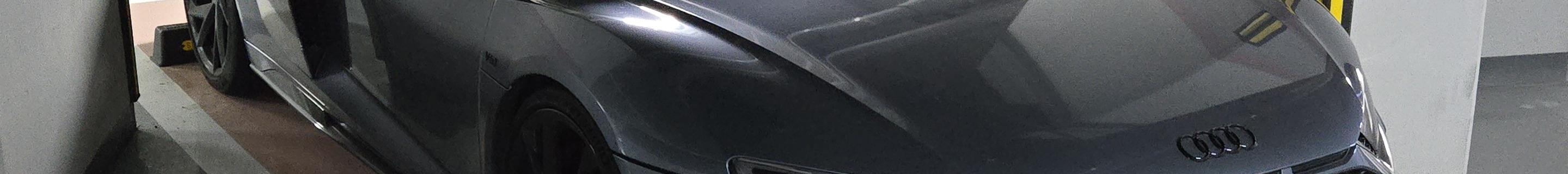 Audi R8 V10 Spyder Performance 2019