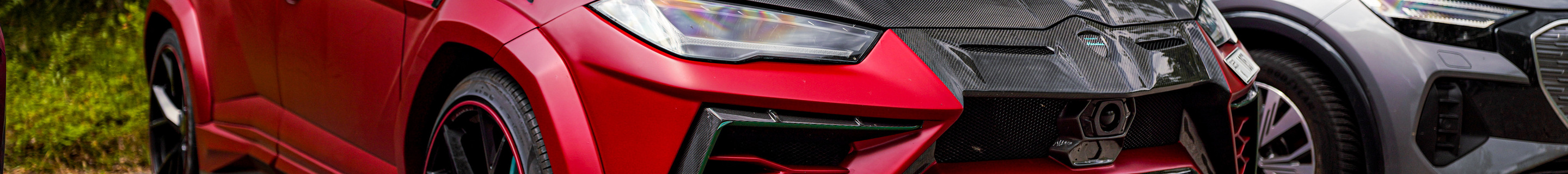 Lamborghini Urus Mansory Venatus