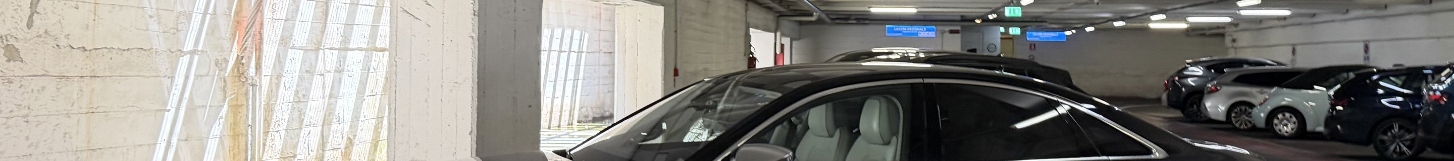 Audi S8 D5 2022