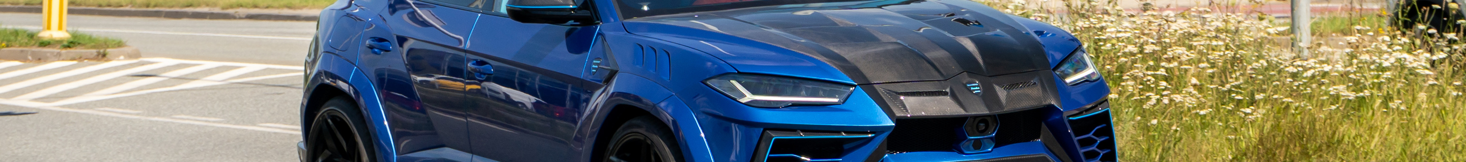 Lamborghini Urus Mansory Venatus