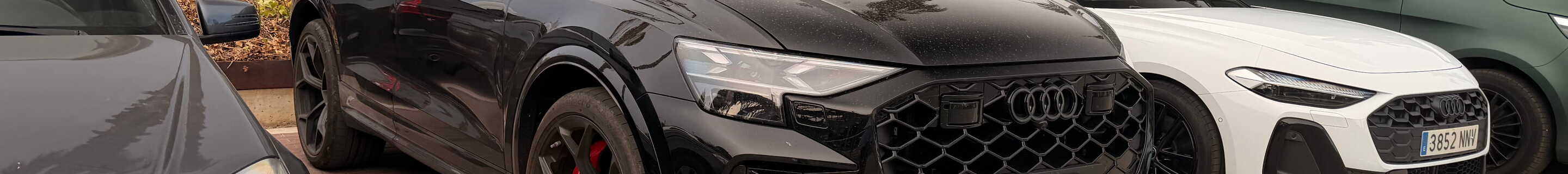 Audi RS Q8 2024