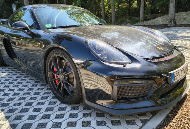 Porsche 718 Cayman GT4