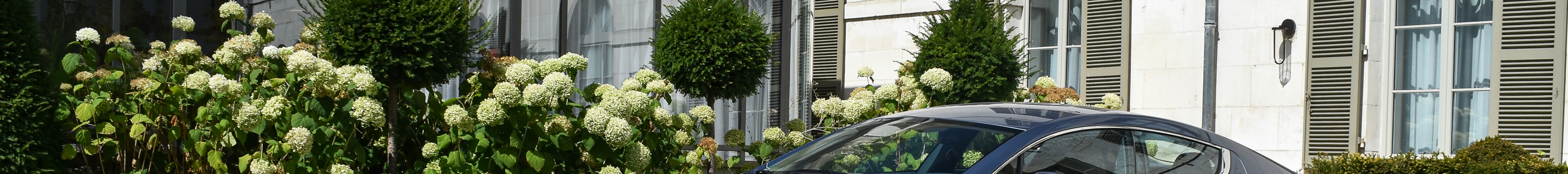 Aston Martin Rapide