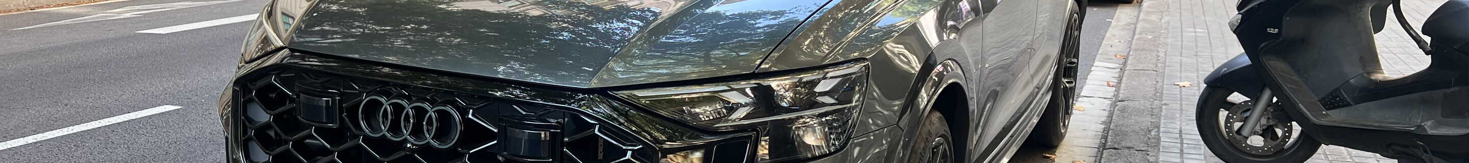 Audi RS Q8 2024