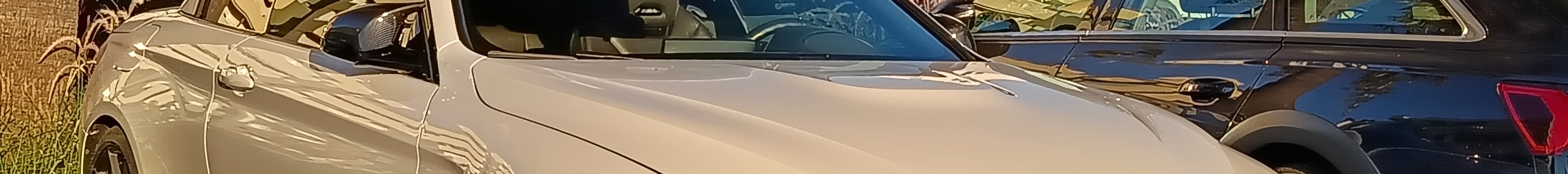 BMW M4 F83 Convertible