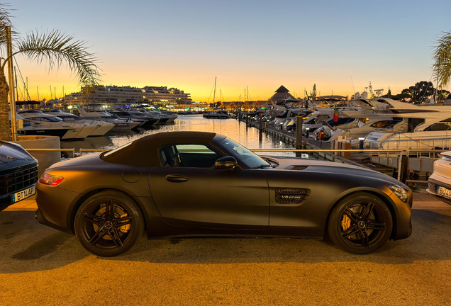Mercedes-AMG GT Roadster R190 2019