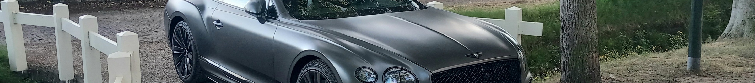 Bentley Continental GT Speed 2021