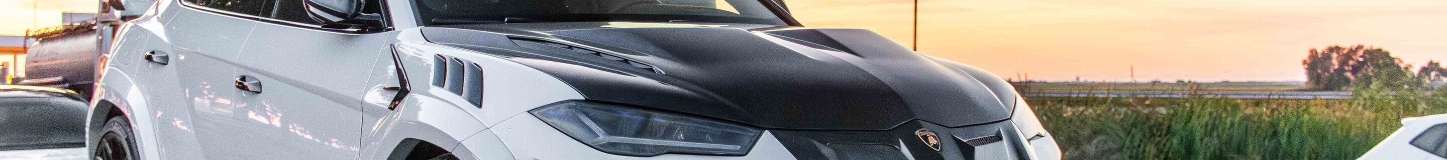 Lamborghini Urus Mansory Venatus
