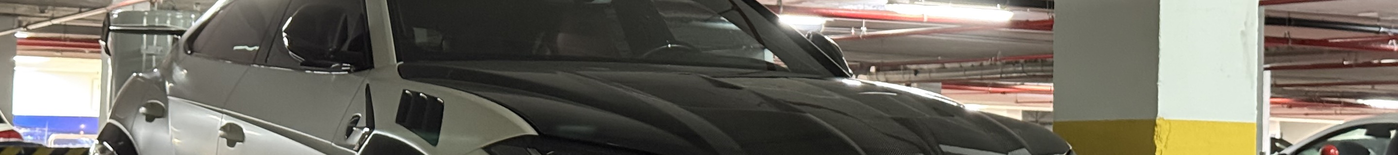 Lamborghini Urus Mansory Venatus