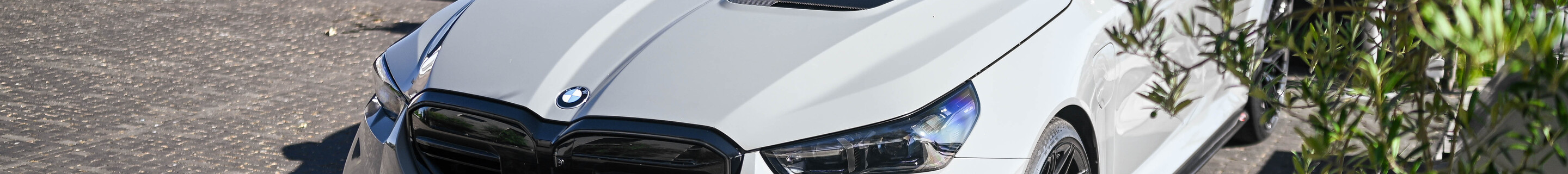BMW M5 G90 Alpha-N Performance