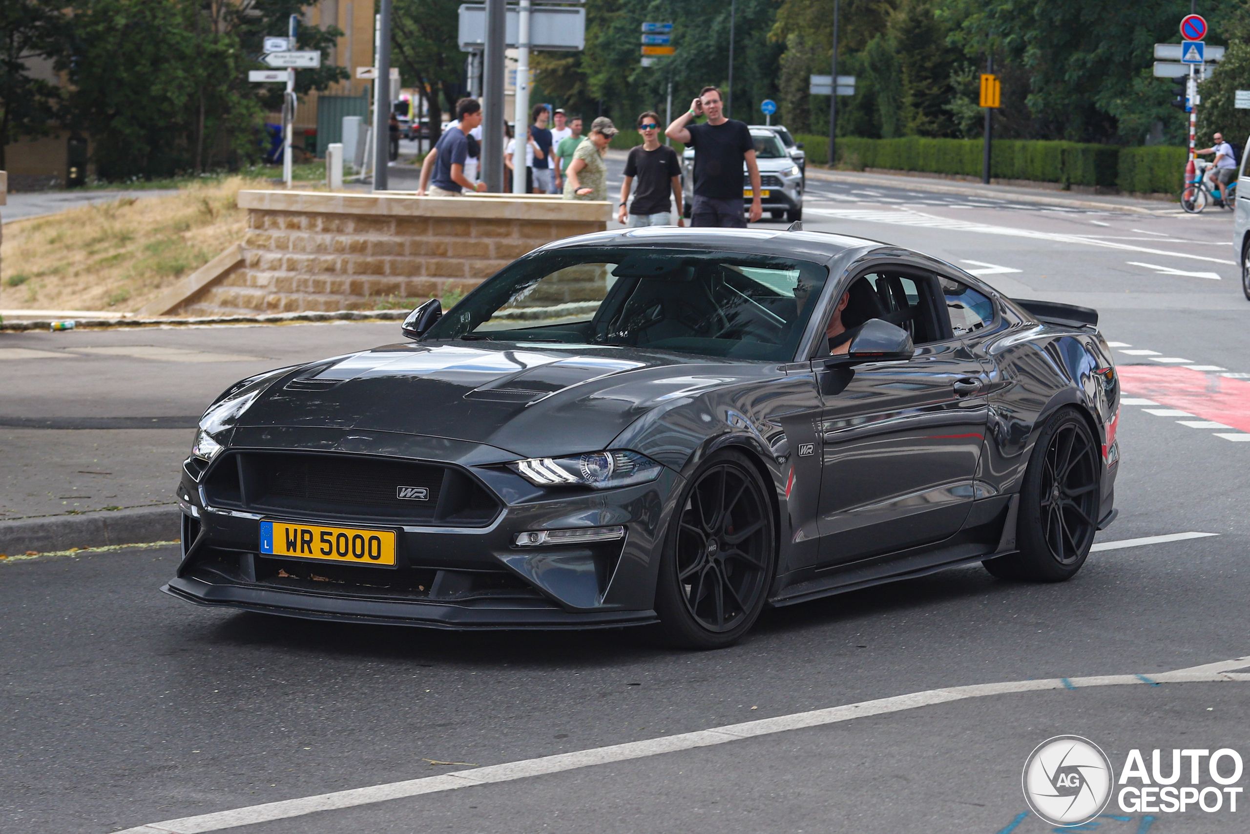 Ford Mustang GT 2018 Wengler Racing