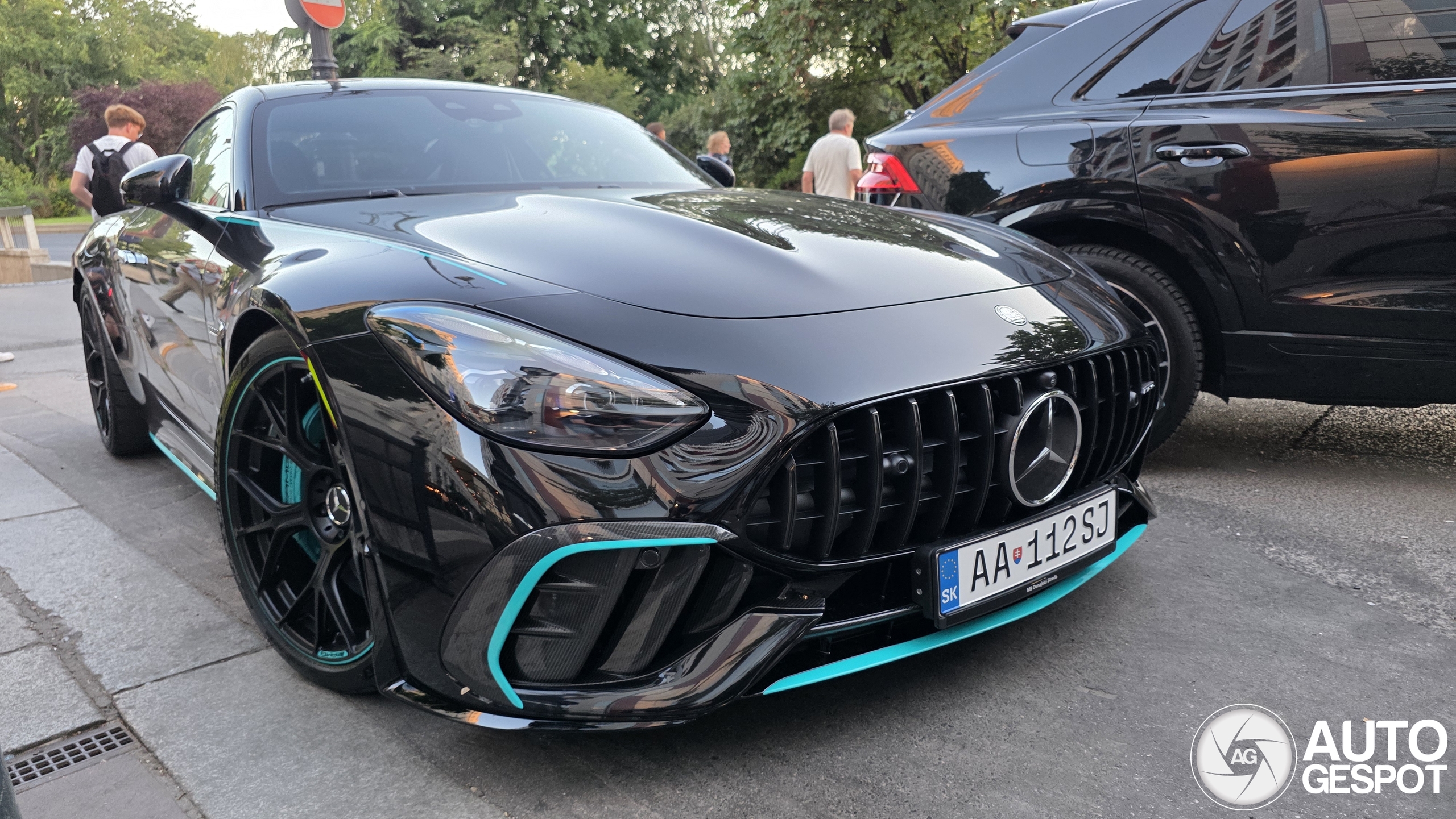 Mercedes-AMG GT 63 Pro C192 Motorsport Collectors Edition