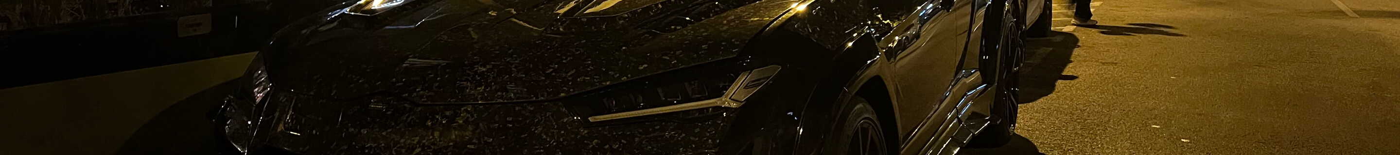 Lamborghini Urus Mansory Venatus