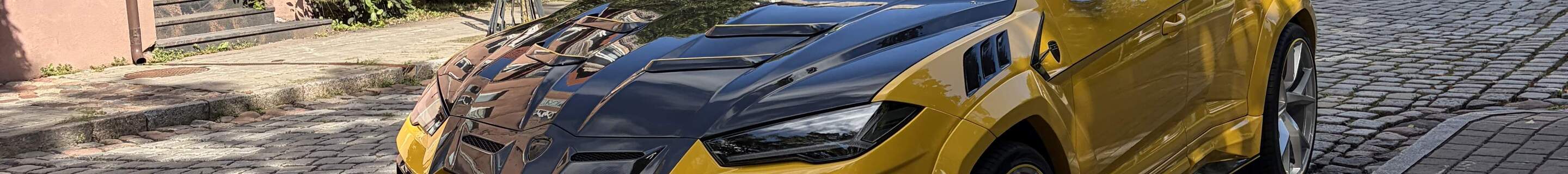 Lamborghini Urus Mansory Venatus