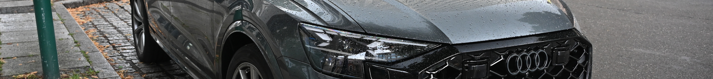 Audi RS Q8 2024