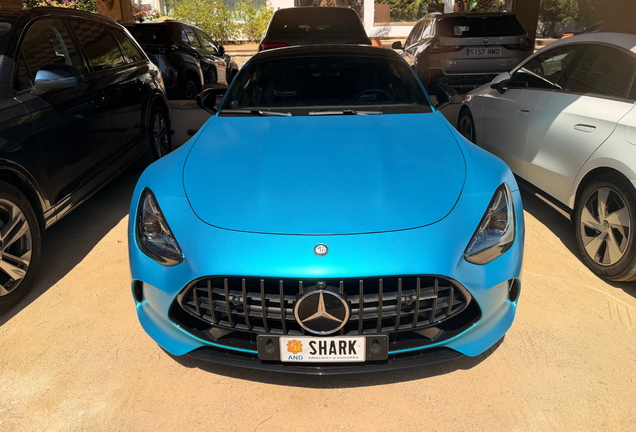 Mercedes-AMG GT 63 C192