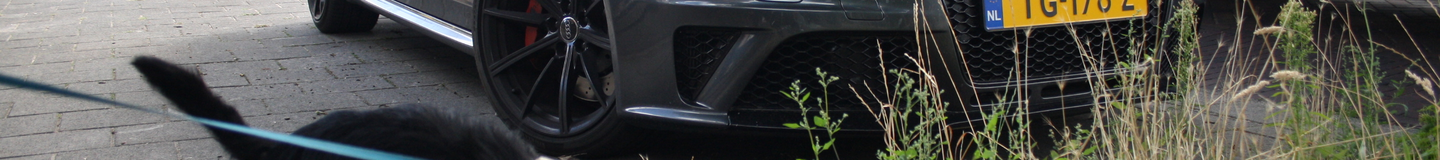 Audi RS4 Avant B8