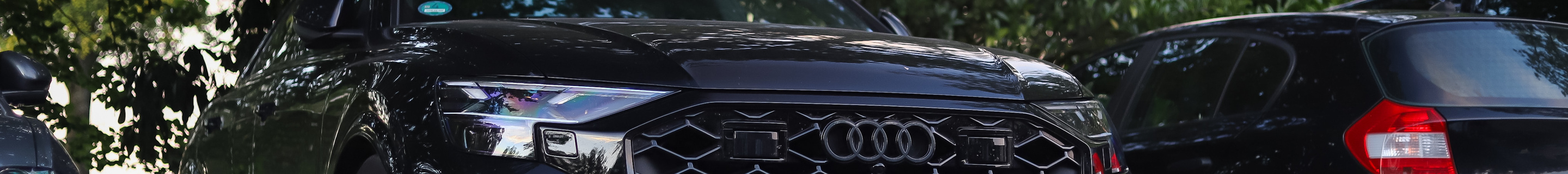 Audi RS Q8 2024