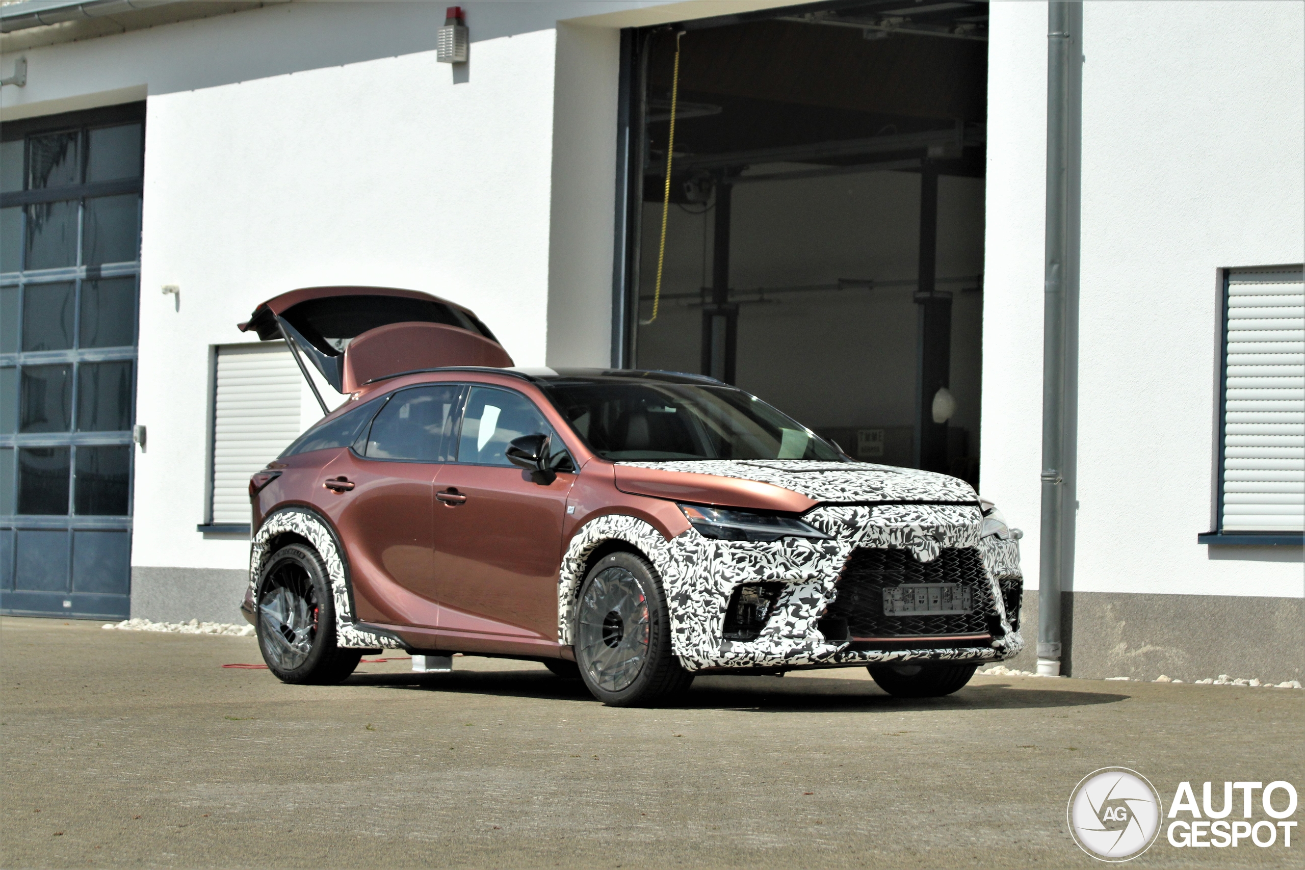 Lexus rx morizo rr