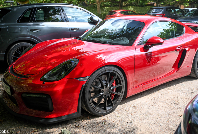 Porsche 981 Cayman GT4
