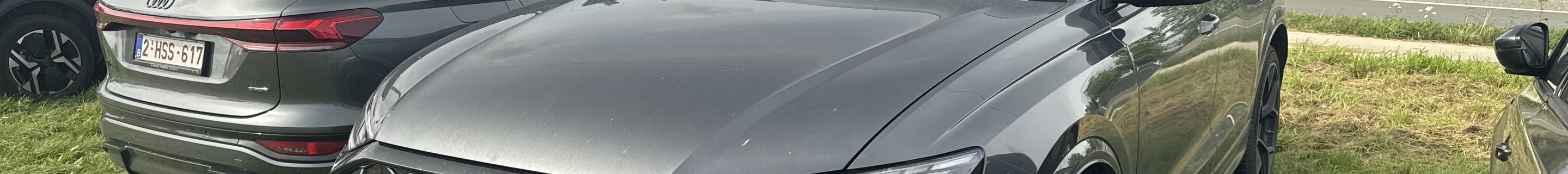 Audi RS Q8 2024