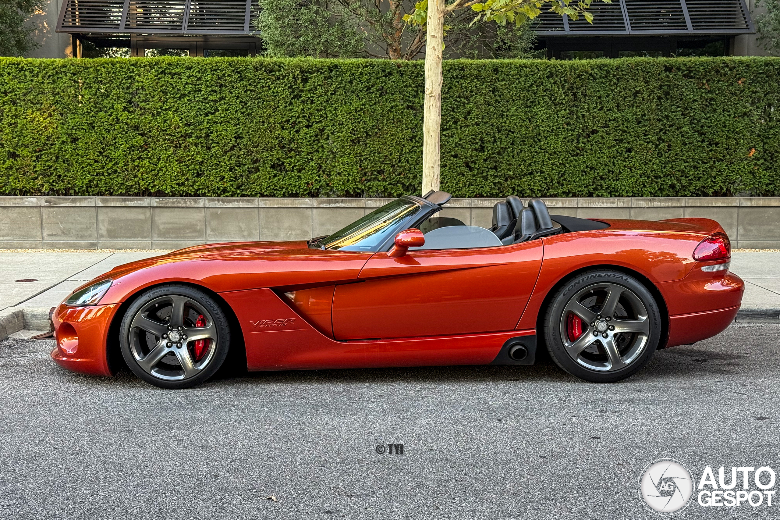 Dodge Viper SRT-10 Roadster Copperhead Edition