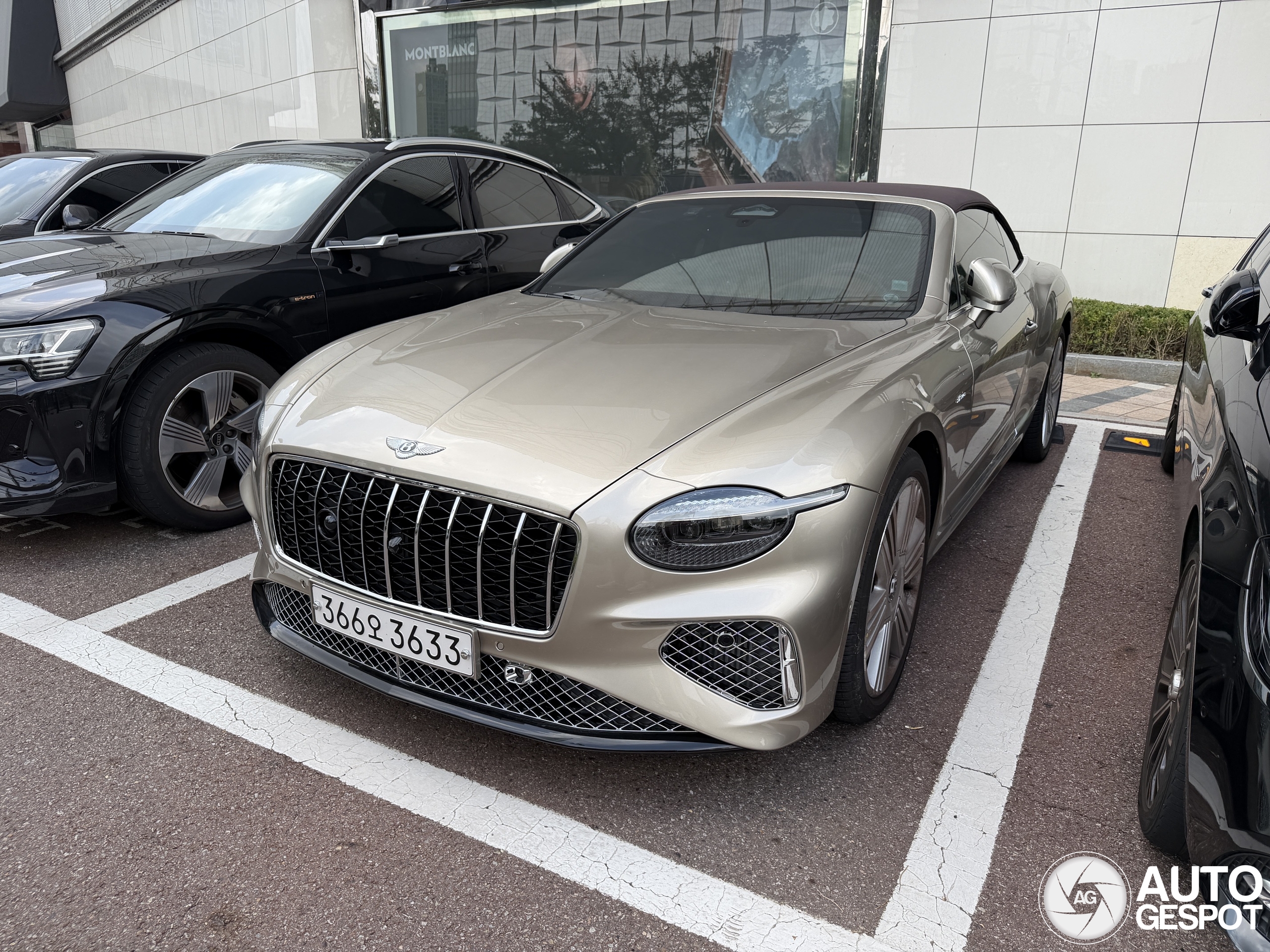 Bentley Continental GTC Speed 2025
