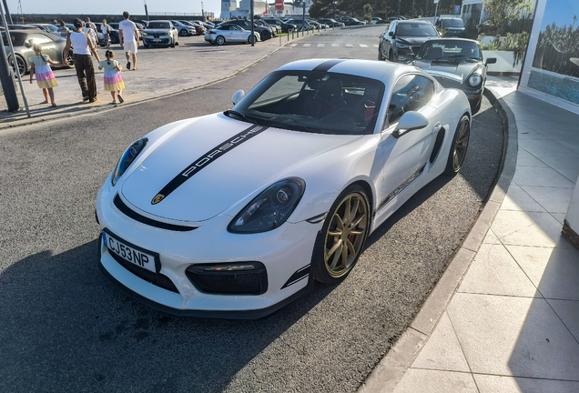 Porsche 981 Cayman GT4