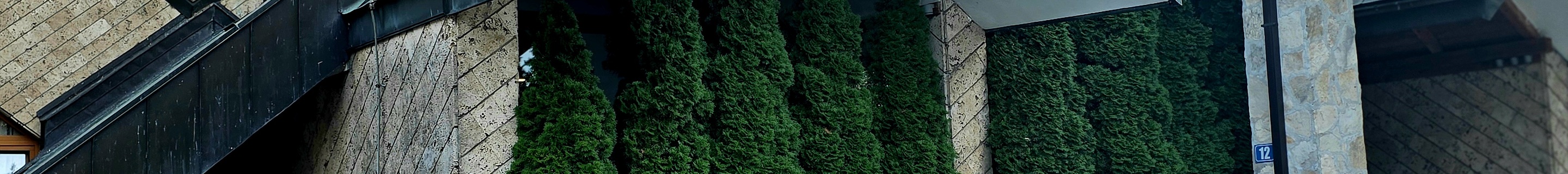 Lamborghini Urus SE