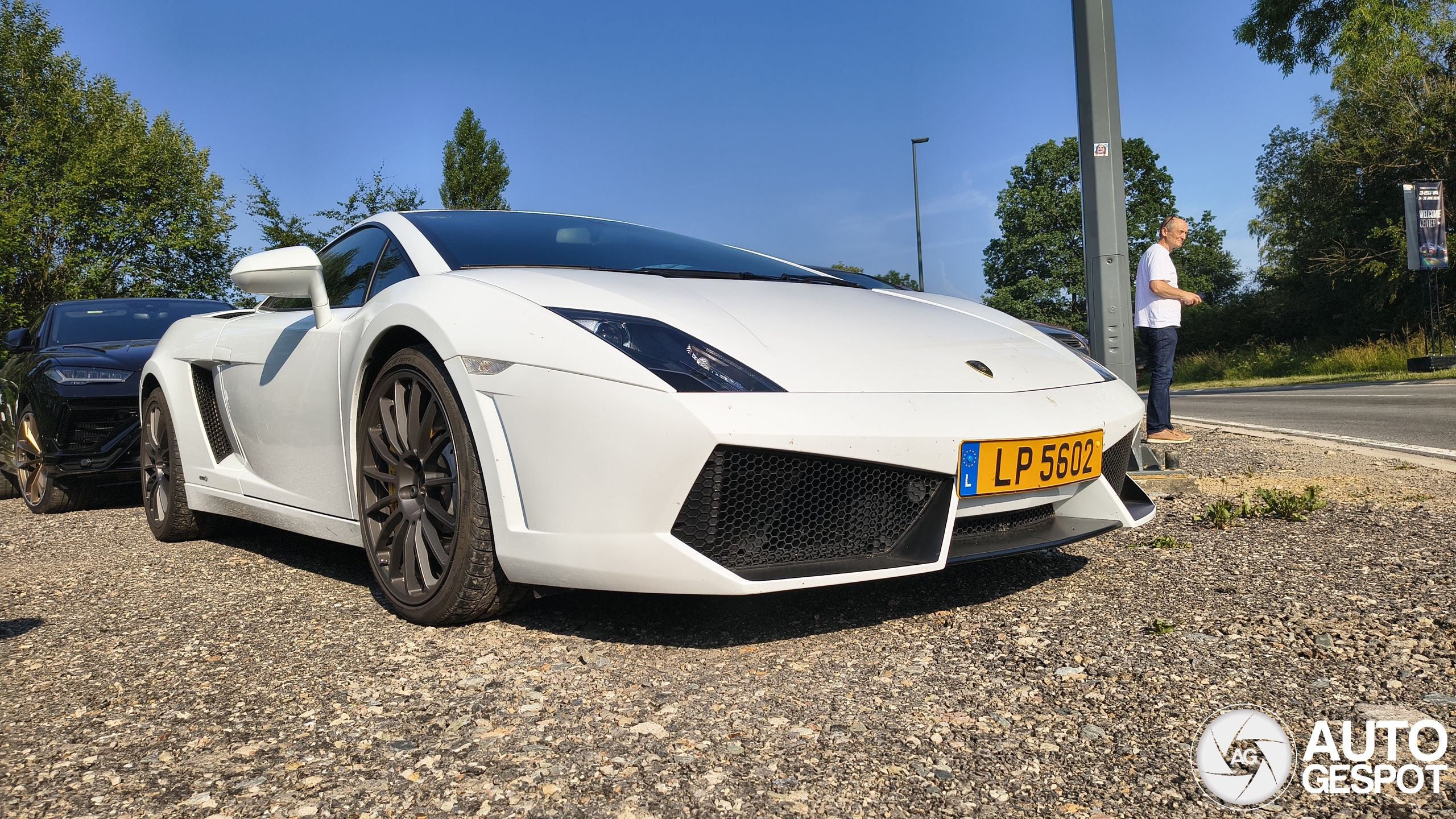 Lamborghini Gallardo LP560-2 50° Anniversario