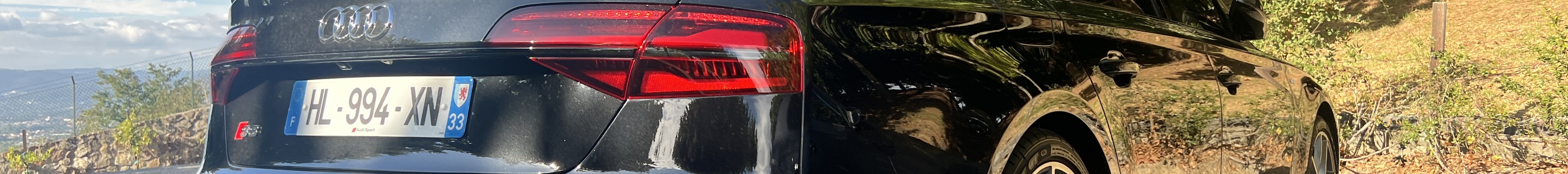 Audi S8 D4 Plus