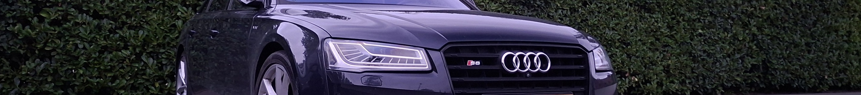 Audi S8 D4 Plus