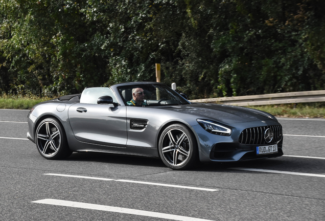 Mercedes-AMG GT Roadster R190 2019