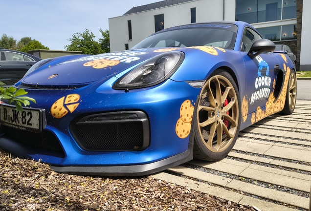 Porsche 981 Cayman GT4