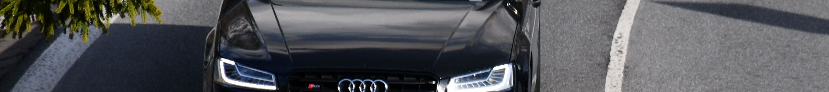 Audi S8 D4 Plus