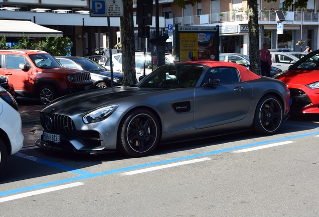Mercedes-AMG GT C Roadster R190 2019 Maxton Design