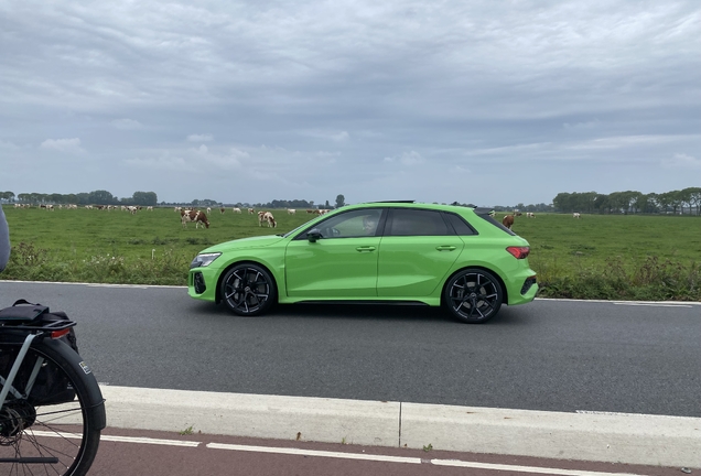 Audi RS3 Sportback 8Y 2025