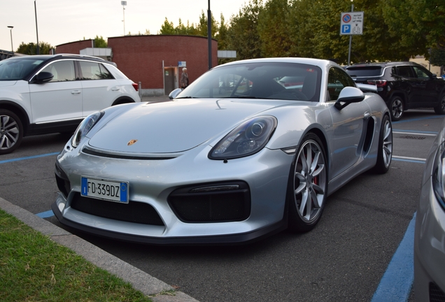 Porsche 981 Cayman GT4